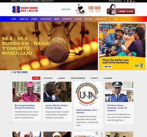 Professional Web design in Uganda