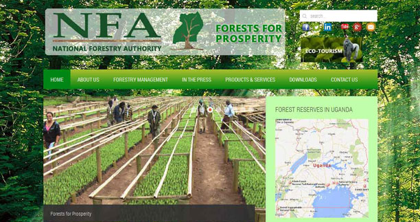 Web Design in Uganda